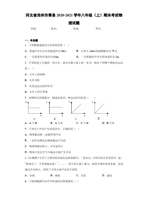 河北省沧州市青县2020-2021学年八年级(上)期末考试物理试题