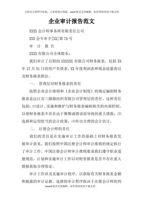 企业审计报告范文