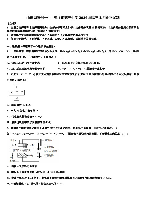 山东省滕州一中、枣庄市第三中学2024届高三1月化学试题含解析