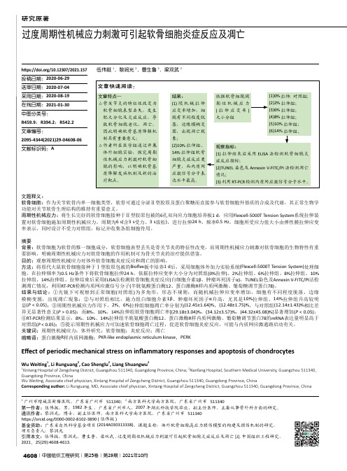 过度周期性机械应力刺激可引起软骨细胞炎症反应及凋亡