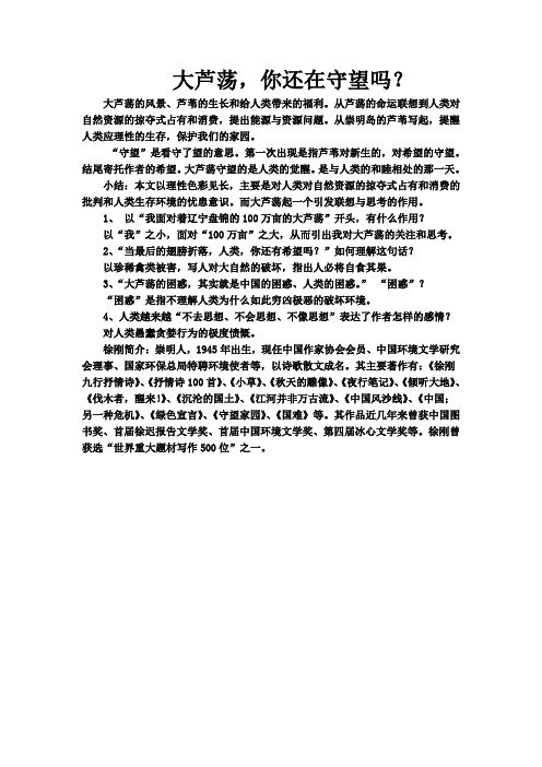 大芦荡,你还在守望吗?