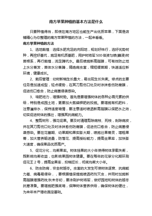 南方苹果种植的基本方法是什么