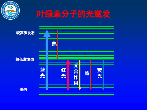 叶绿素荧光-原理