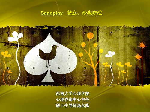 Sandplay沙盘疗法(汤永隆老师)