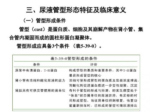 最新  尿液一般检验 05 有形成分显微镜检查(下)