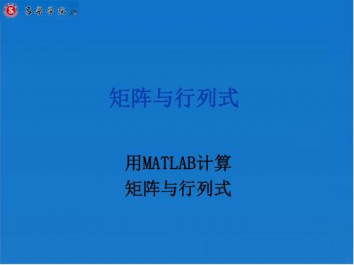 用MATLAB计算矩阵与行列式教材