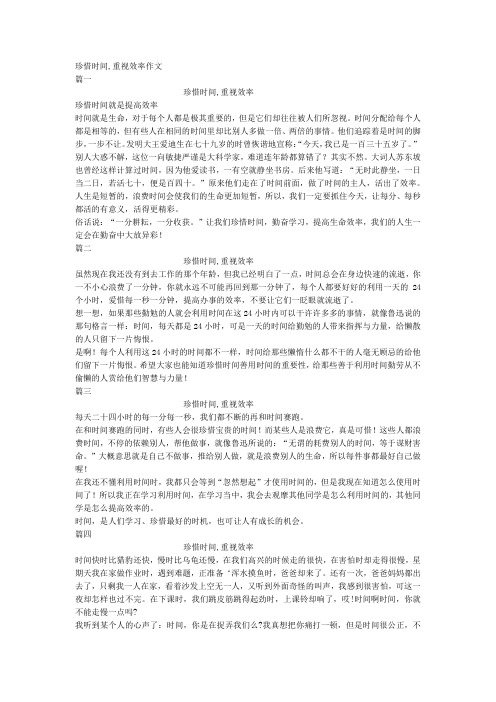 珍惜时间,重视效率作文