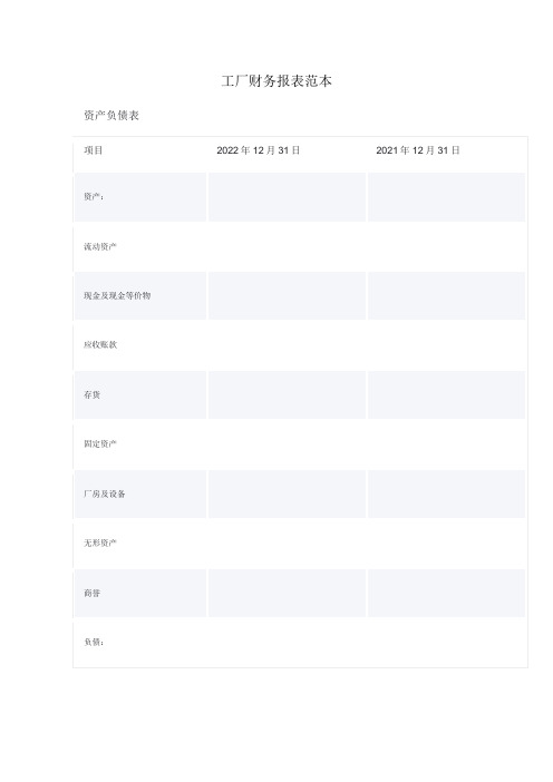 工厂财务报表范本