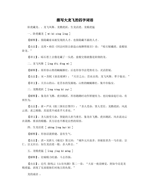 描写大龙飞的四字词语