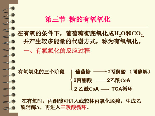 第七章 糖代谢—有氧氧化和三羧酸循环