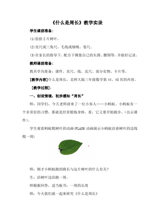 什么是周长教学实录