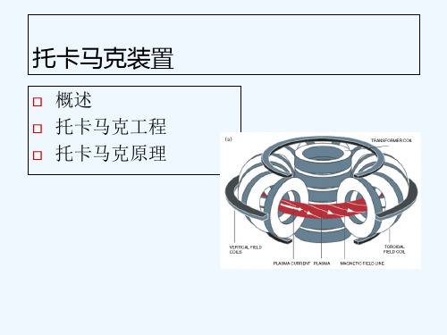 托卡马克装置原理 PPT