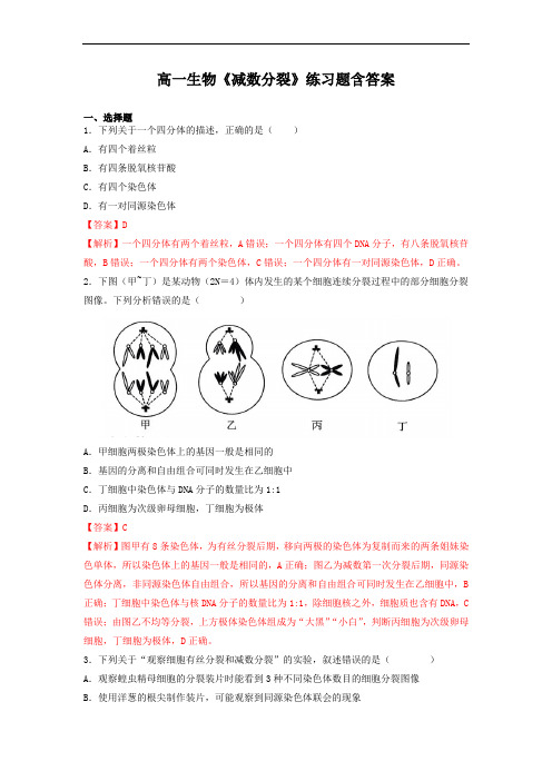 高一生物《减数分裂》练习题含答案