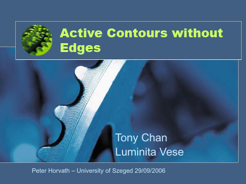 ActiveContourswithoutEdges(PPT)