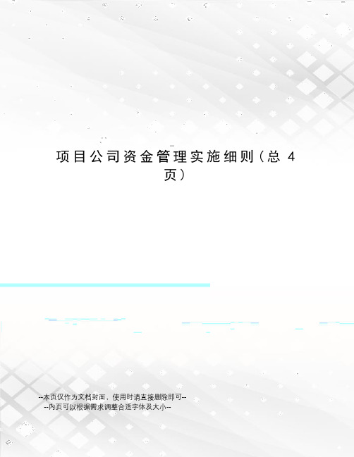 项目公司资金管理实施细则