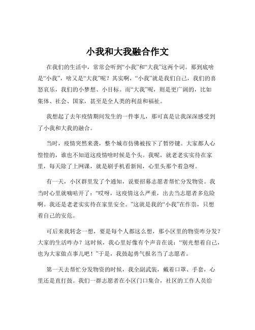 小我和大我融合作文