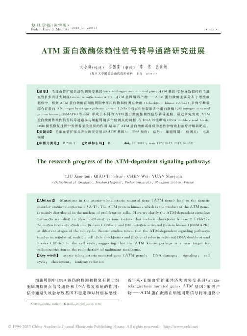 ATM蛋白激酶依赖性信号转导通路研究进展