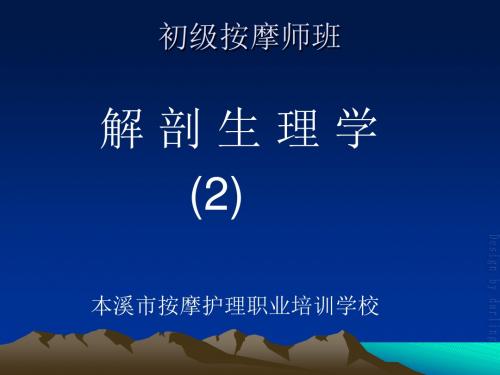 2 初级按摩师班 2(骨)ppt