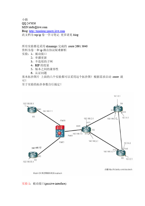 RIP实验