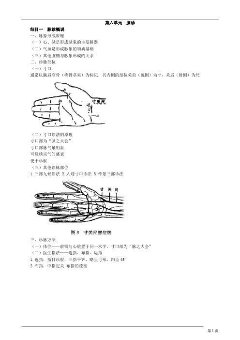 中医诊断学-脉诊