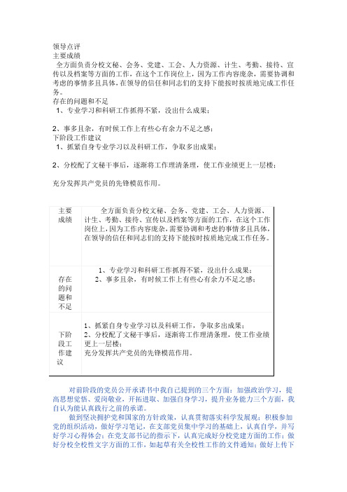 党员领导点评
