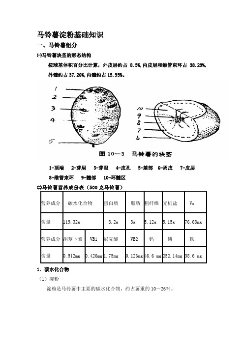 马铃薯淀粉基础知识