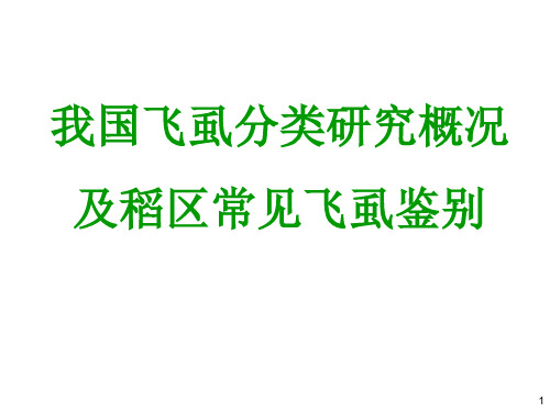 我国飞虱分类研究概况及稻区常见飞虱鉴别