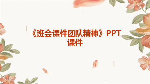 《班会课件团队精神》PPT课件(2024)