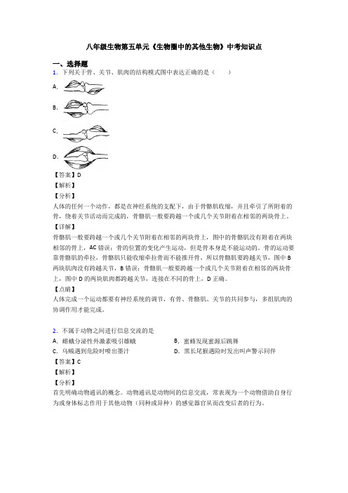 八年级生物第五单元《生物圈中的其他生物》中考知识点