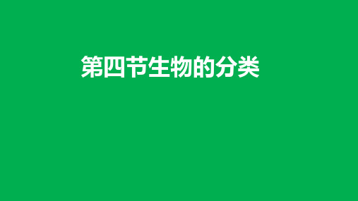 生物的分类课件2023--2024学年苏教版生物八年级上册