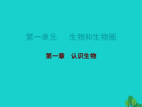 广东省中考生物总复习第一单元第一章认识生物课件