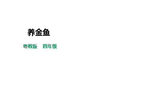 四年级全一册《劳动与技术》第四单元活动1《养金鱼》课件