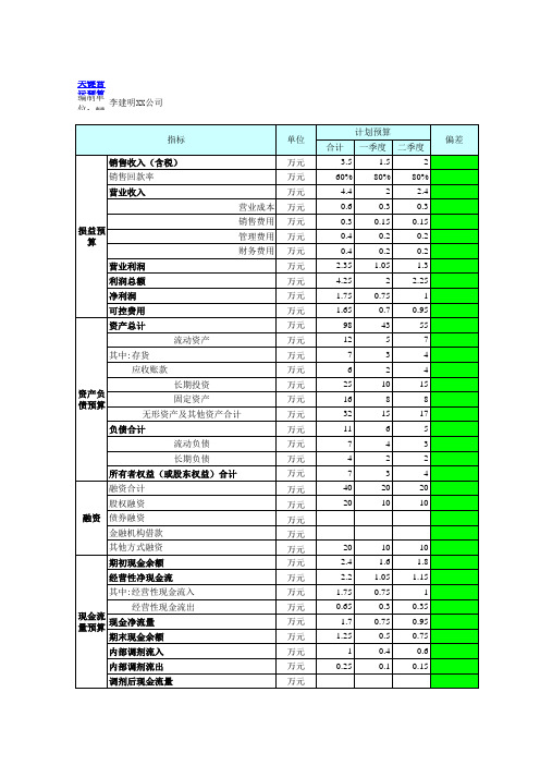 2011年度财务年度预算统一表格(模板)