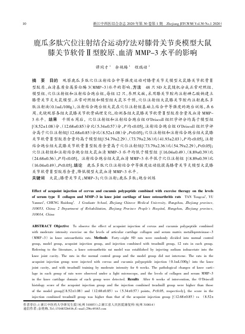 鹿瓜多肽穴位注射结合运动疗法对膝骨关节炎模型大鼠膝关节软骨Ⅱ