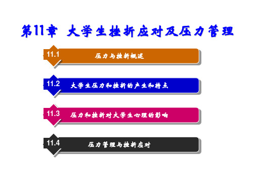 大学生心理健康教育第11章  大学生挫折应对及压力管理