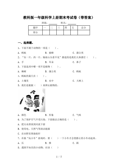 教科版一年级科学上册期末考试卷(带答案)