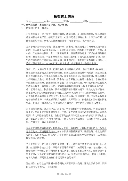 栖在树上的鱼  阅读理解及答案