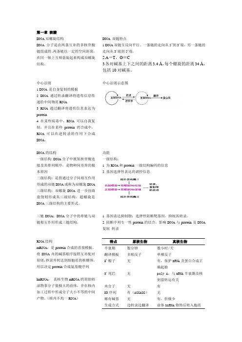 DNA双螺旋结构