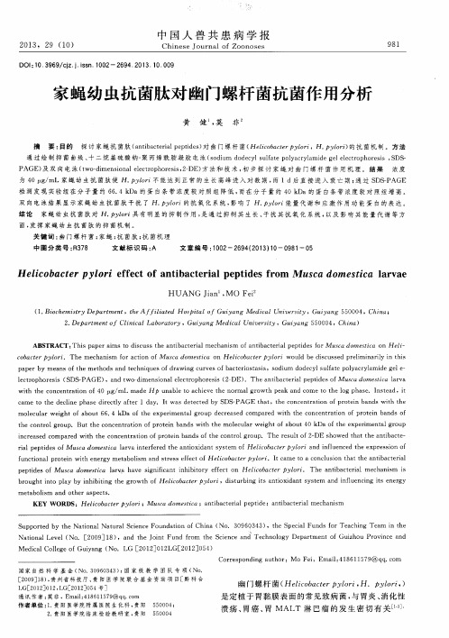 家蝇幼虫抗菌肽对幽门螺杆菌抗菌作用分析