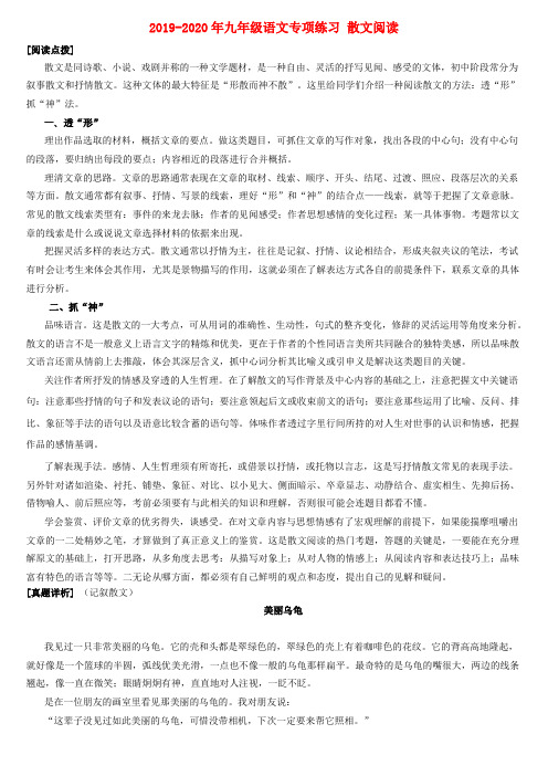 2019-2020年九年级语文专项练习 散文阅读