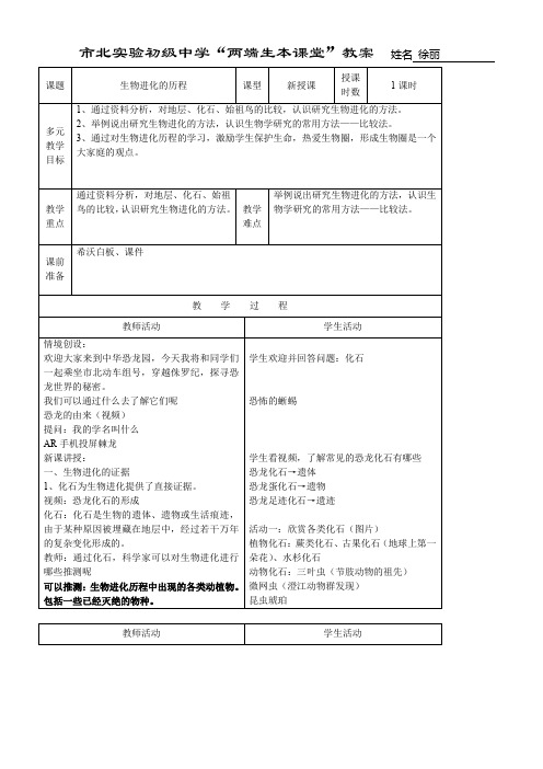 初中八年级生物教案-苏教版初中生物八年级上册  生物进化的历程【全国一等奖】