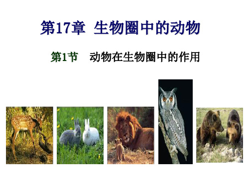 八年级生物(北师大版)上册备课优质课件 17-1 动物在生物圈中的作用