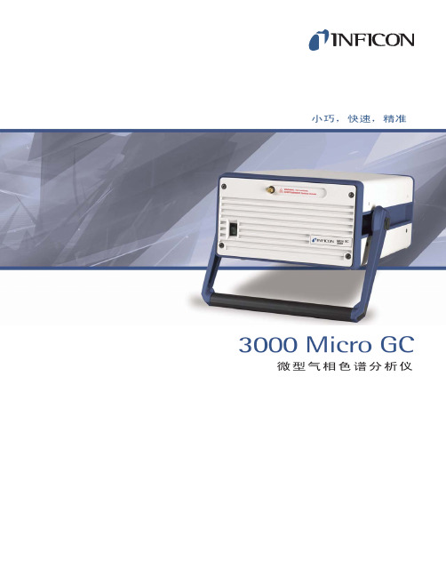 Micro GC 3000中文版