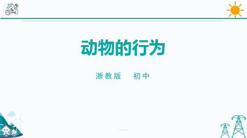 浙教版八年级科学上册《动物的行为》PPT课件