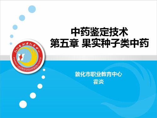果实种子类中药 - 敦化市职业教育中心