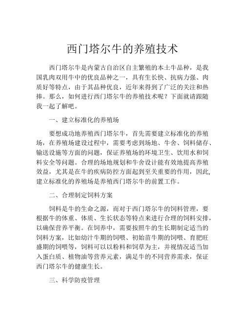 西门塔尔牛的养殖技术