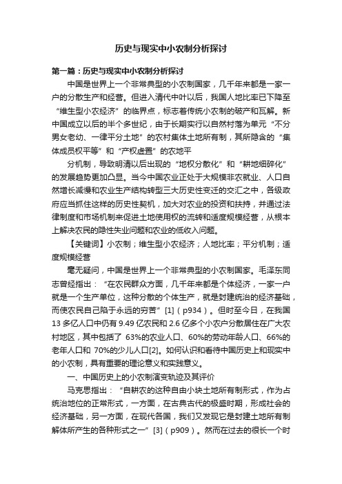 历史与现实中小农制分析探讨