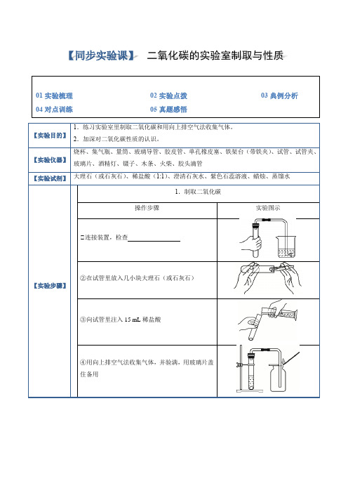 实验10二氧化碳的实验室制取与性质(原卷版)