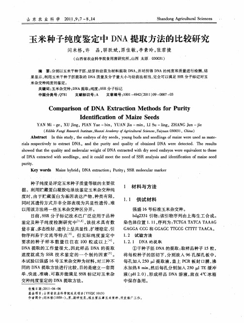 玉米种子纯度鉴定中DNA提取方法的比较研究