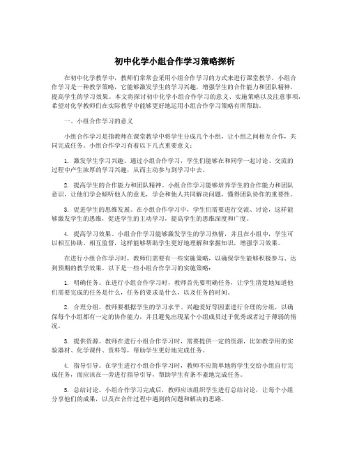 初中化学小组合作学习策略探析